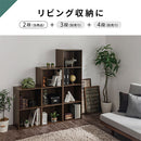 カラーボックス 2段 固定棚 カラーボックス 2段 縦置き 横置き 2WAY A4サイズ 対応 ぼん家具