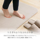 玄関マット 玄関マット 韓国風 ラグマット かわいい カーペット シンプル 絨毯 小さめ ラグ おしゃれ 北欧 モダン 手洗い可能 滑り止め 春 秋 冬 屋内 ぼん家具