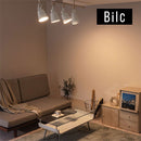 シーリングライト 1灯 スポットライト スポットライト LED シーリングライト おしゃれ ダクトレール 照明 天井照明 口金 e26 角度調整 リビング キッチン 寝室 廊下 玄関 Bilc ビルク ぼん家具