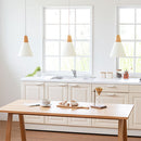 ペンダントライト 1灯 LED専用 ペンダントライト シンプル ダイニングライト キッチンライト 内玄関 ライト 照明 ペンダント 吹き抜け 吊り下げ照明 キッチン照明 北欧 UCOLO ユコロ UCOLO