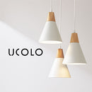 ペンダントライト 1灯 LED専用 ペンダントライト シンプル ダイニングライト キッチンライト 内玄関 ライト 照明 ペンダント 吹き抜け 吊り下げ照明 キッチン照明 北欧 UCOLO ユコロ UCOLO