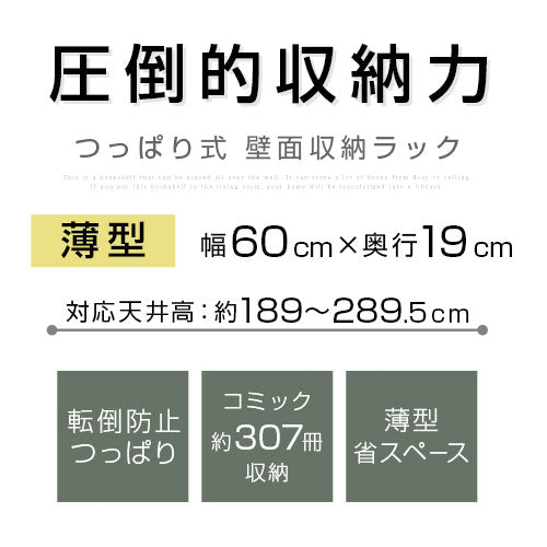 【1,500円OFF】つっぱり式ラック〔薄型・幅60cm〕