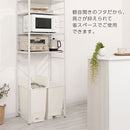 SOLOW ペダルオープンツイン45L〔2個セット〕 ゴミ箱 45リットル 45L ごみ箱 ダストボックス 2個セット キッチン ペダル式 キャスター付き 蓋 フタ付き おしゃれ 両開き 袋止め 抗菌加工 リス ぼん家具