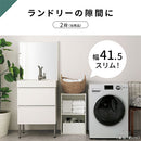 カラーボックス 2段 固定棚 カラーボックス 2段 縦置き 横置き 2WAY A4サイズ 対応 ぼん家具