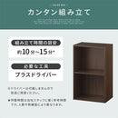 カラーボックス 2段 固定棚 カラーボックス 2段 縦置き 横置き 2WAY A4サイズ 対応 ぼん家具