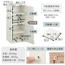 扉付きカラーボックス〔2枚扉〕 ディスプレイラック 2枚 扉付き 可動棚 本棚 雑誌 漫画 収納棚 A4 対応 北欧 ぼん家具