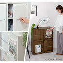 扉付きカラーボックス〔4枚扉〕 ディスプレイラック 4枚 扉付き 可動棚 本棚 雑誌 漫画 大容量 A4 対応 北欧 ぼん家具