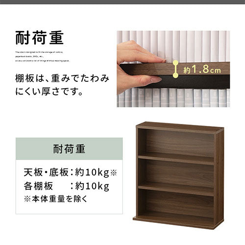 薄型本棚〔2台セット〕