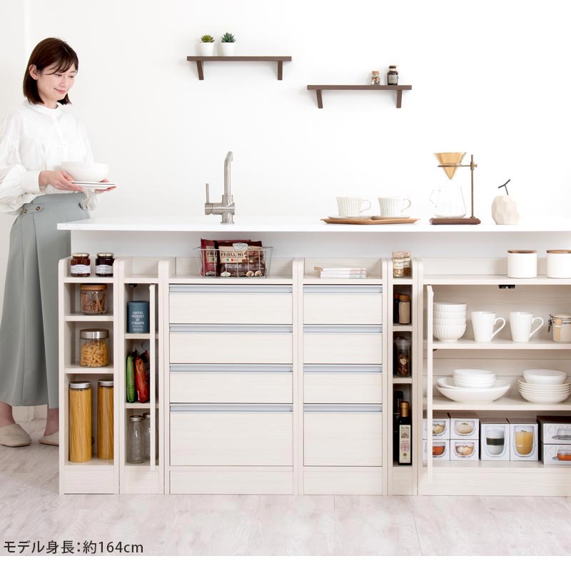 カウンター下収納〔扉・幅45cm・幅60cm〕
