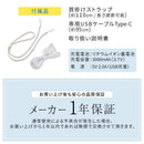 瞬間冷却 ペルチェ式 冷却プレート 3WAY ハンディファン