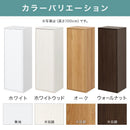 高さオーダー収納ラック 扉付きタイプ〔高さ20～29cm〕