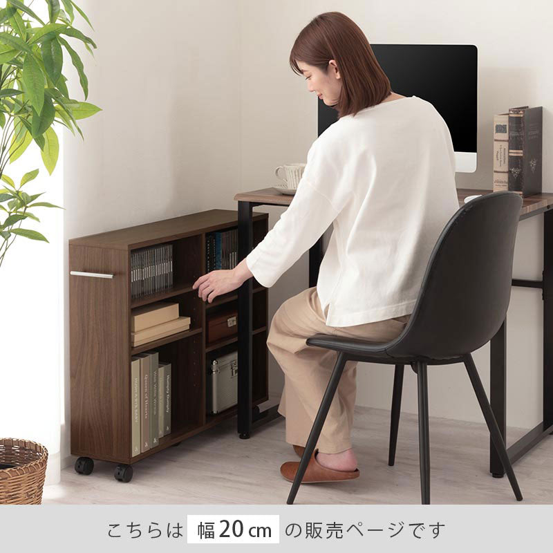 押入れ収納ボックス〔幅20cm〕