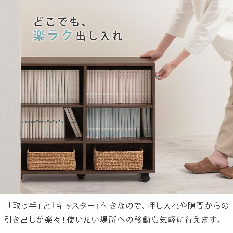 押入れ収納ボックス〔幅20cm〕