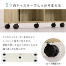 押入れ収納ボックス〔幅20cm〕