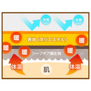 ブランケット　Sサイズ〔70×100cm〕 ブランケット 毛布 シングル ひざ掛け おしゃれ 厚手 暖かい 膝掛け ハーフケット あったかグッズ 冬 防寒 ボア付き 北欧 オフィス 70×100cm FRUTO