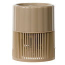 ミニ流しそうめん 流しそうめん 光る ミニ 流し素麺 LED付き 薬味トレー付き 自動回転 電池式 部品 洗える お手入れ簡単 卓上 省スペース そうめん器 こども おしゃれ ライフオンプロダクツ