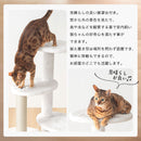  4wayキャットタワー キャットタワー キャットハウス キャットツリー 突っ張り 据え置き 運動不足 爪研ぎ タワー ステップ 猫タワー 多頭飼い 猫用品 猫グッズ おしゃれ SHIPOPO