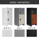 メールBOX付き宅配ボックス 木目 ポスト一体型