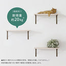 シェルフブラケット Mサイズ〔18×18cm〕 L型 棚受け 2本セット ネジ付き ブラケット 取り付け ウォールシェルフ ラック スチール DIY 壁面収納 ぼん家具