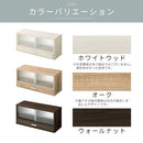 カウンター上置き収納棚〔幅60cm〕 カウンター上収納ラック 引き出し ガラス扉付き 食器棚 カップボード キッチン ぼん家具