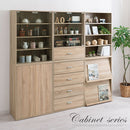 マルチキャビネット〔Aタイプ〕 カラーボックス キューブボックス 収納棚 本棚 おしゃれ ラック 扉付き フラップ 木製 4段 a4 可動棚 約 幅60 奥行35 ディスプレイ キッチン リビング ぼん家具