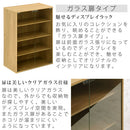 マルチキャビネット〔Bタイプ〕 カラーボックス キューブボックス 収納ボックス 収納 木製 引き出し キャビネット ガラス扉 飾り棚 ラック 文庫 コミック ぼん家具