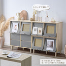 ラタン調収納チェスト 引き出しタイプ フラップチェスト 扉付き 韓国インテリア グレージュ ラタン調 キャビネット収納 PUTUPUTU