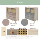 ラタン調収納チェスト 引き出しタイプ フラップチェスト 扉付き 韓国インテリア グレージュ ラタン調 キャビネット収納 PUTUPUTU