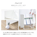 棚が斜めで取り出しやすい キャスター付きファイルラック 2段