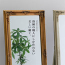 アンティーク調ミラー〔Eタイプ〕 姿見 全身鏡 スタンドミラー おしゃれ 収納 スリム アンティーク ゴールド 白 高さ160 横40 木製 インテリア 玄関 リビング 寝室 ぼん家具