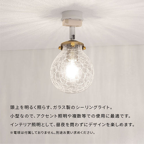 シーリングライト