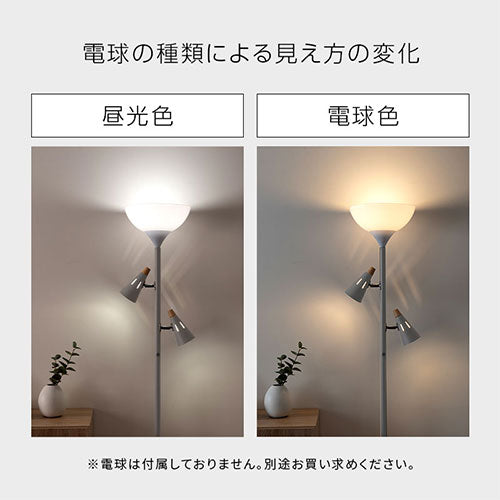 スタンドライト