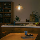 ペンダントライト 1灯 ガラス LED専用 ペンダントライト ガラス シンプル ダイニングライト キッチンライト 内玄関 ライト ペンダント 吹き抜け 吊り下げ照明 キッチン照明 noji ノジー ぼん家具