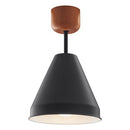 シーリングライト 1灯 スチールシェード シーリングライト スポットライト led 照明器具 天井照明 北欧 おしゃれ かわいい 小型 スチール 木製 白 灰色 黒 UCOLO ユコロ UCOLO