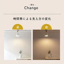 シーリングライト 1灯 スチールシェード シーリングライト スポットライト led 照明器具 天井照明 北欧 おしゃれ かわいい 小型 スチール 木製 白 灰色 黒 UCOLO ユコロ UCOLO