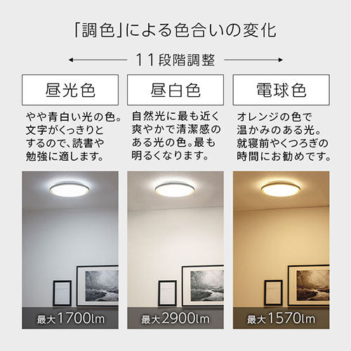 シーリングライト