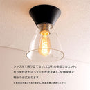 シーリングライト 1灯 シーリングライト 小型シーリングライト 天井照明 真鍮メッキ ガラスシェード キッチンライト 内玄関 ライト シック シンプル おしゃれ noji ノジー noji