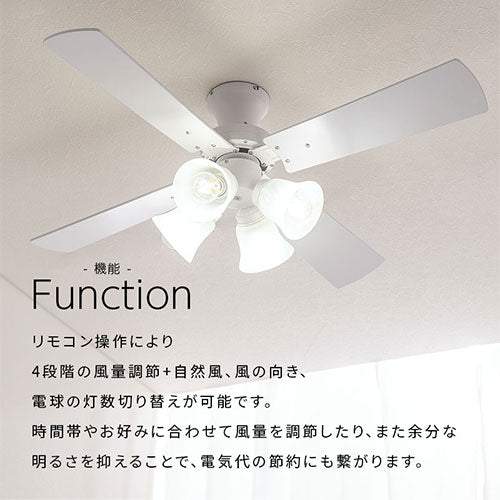 シーリングファン