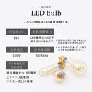 ブラケットライト 1灯 丸型 ブラケットライト 球状 乳白 ガラス玉 ウォールランプ 壁掛けライト ウォールライト 内玄関 廊下 洗面所 階段 寝室 トイレ ライト 照明 noji ノジー noji