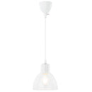 ガラス製 1灯 ペンダントライト