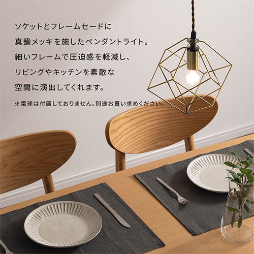 ペンダントライト 1灯 LED専用
