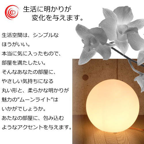 MOON ROCK LAMP ムーンロックライト　照明器具フロアライト Moon Rock Lamp – M.I.U. online