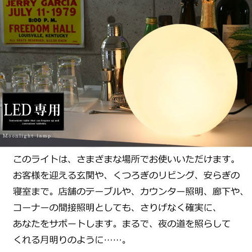 MOON ROCK LAMP ムーンロックライト　照明器具フロアライト MOON ROCK LAMP ムーンロックライト照明器具フロアライト
