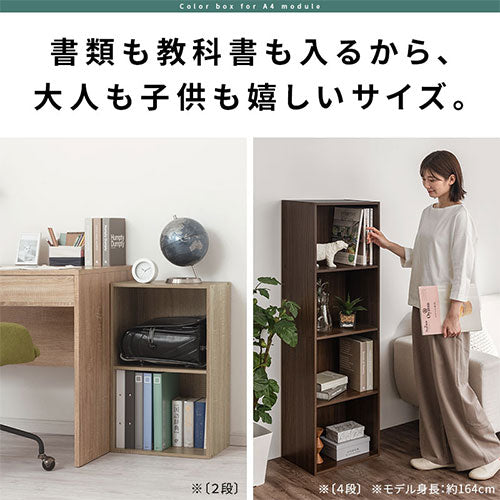 ぼん家具 カラーボックス 固定棚 おしゃれ 収納家具 ABR920126