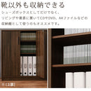 薄型シューズボックス〔2扉タイプ・3扉タイプ〕