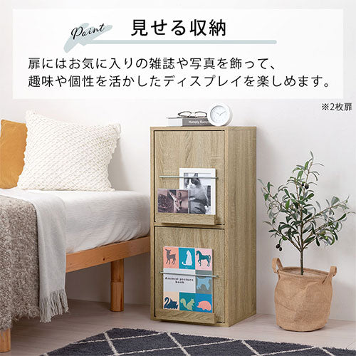 扉付きカラーボックス 2枚扉 4枚扉 本棚 ラック 扉付き収納 おしゃれ