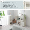 扉付きカラーボックス〔2枚扉・4枚扉〕