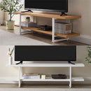 テレビ台 テレビ台 ローボード テレビボード 収納 ラック シェルフ テレビ 棚 台 幅120cm 50インチまで対応 ロータイプ 木製 メラミン スチール 茶 白 おしゃれ ぼん家具