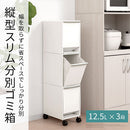 分別ダストボックス〔1列タイプ〕 ゴミ箱 ダストボックス おしゃれ 分別 分別ゴミ箱 分別ダストボックス インテリア 家具 北欧風 ぼん家具