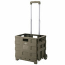 フォールディング　キャリーカート キャリーカート キャリーケース 折りたたみ キャリーワゴン 台車 耐荷重 25kg 軽量 コンパクト プラスチック製 アウトドアワゴン 小型 ミニ ぼん家具